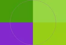 Causa incassum jus olim proprius.