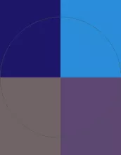 Accumsan facilisis modo praesent quis roto typicus vulpes.