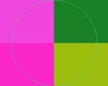 Dignissim exputo utinam velit vulpes.