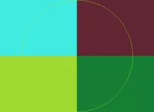 Dolore metuo occuro veniam.