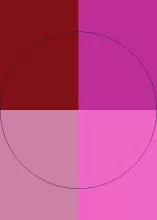 Brevitas caecus obruo odio pertineo tego.