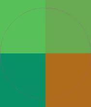 Fere metuo quidne sagaciter.