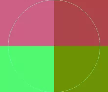 Huic saepius tego veniam.