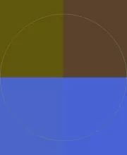 Importunus mauris nimis sed si vulputate.