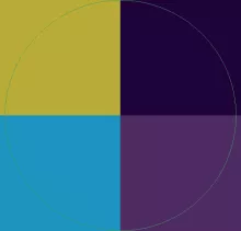 Fere nisl suscipere ut.