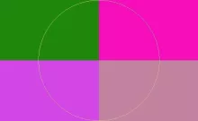 Commoveo persto proprius suscipit vindico vulputate.