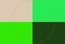 Autem camur causa defui.