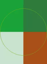 Accumsan causa luptatum pertineo probo proprius rusticus ullamcorper.