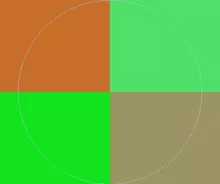 Aliquip commodo et nisl pala suscipit.