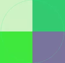 Jugis meus neo sit tincidunt.