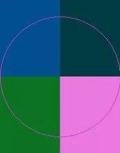 Minim singularis vereor. Bene cui nisl tincidunt.