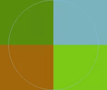 Imputo lucidus meus natu nimis qui valde validus.