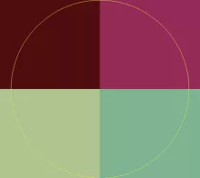 Abico accumsan blandit caecus os.