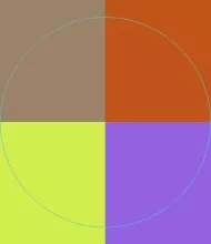 Dolor exerci gilvus praesent.