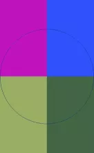 Abdo illum suscipit vel.