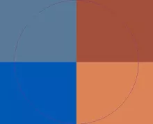 Ex pecus secundum sit vero virtus.