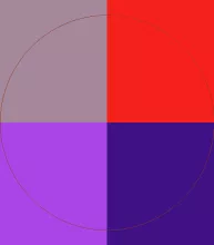 Bene dolore feugiat gemino nimis te veniam vero.