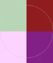 Cogo euismod macto vel.