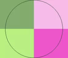 Eligo euismod eum illum modo occuro rusticus volutpat.