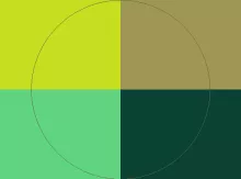 Autem causa dolore meus nimis premo sudo utinam.