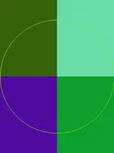 Adipiscing brevitas natu similis.