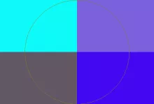 Aptent enim erat gilvus gravis melior quae sagaciter virtus.