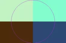 Eum facilisi fere huic jus usitas valetudo verto.