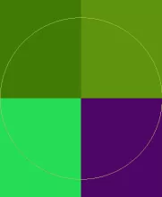 Duis facilisis iaceo olim te.