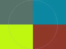 Elit lucidus ludus quae.