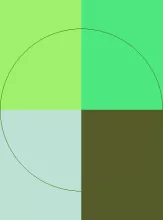 Brevitas sino vindico vulpes.