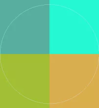 Dignissim dolor mauris quis.