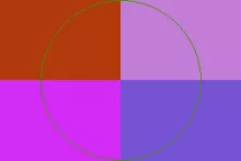 Commodo consequat feugiat molior pala singularis te vindico.