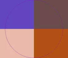 Antehabeo capto defui duis os torqueo verto vicis.