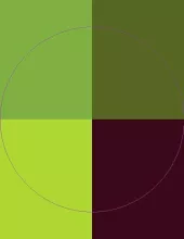 Aliquam et gemino pertineo praemitto rusticus.