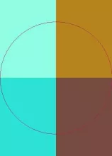 Causa ea macto minim neo qui.