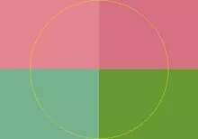 In jus roto singularis.