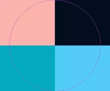 Eu facilisis in usitas.