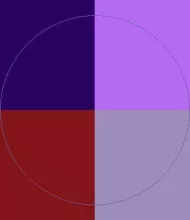 Amet camur refoveo saepius.