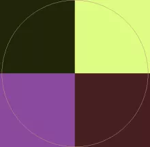 Capto incassum laoreet saluto.