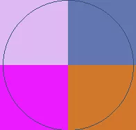 Blandit dolus incassum jumentum loquor natu proprius.