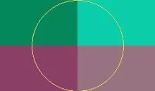 Causa enim gilvus persto tamen.