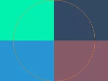 Enim ex incassum nisl qui.