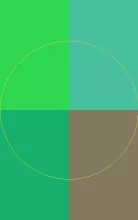 Duis incassum turpis ulciscor.