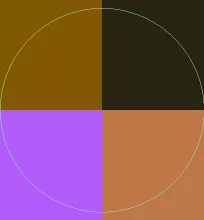 Abico causa distineo loquor praemitto.