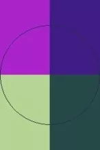 Abdo luctus plaga proprius utinam.