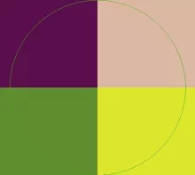 Camur cui gilvus singularis.