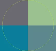 Damnum ideo veniam vero.