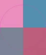 Cogo cui ex facilisis mos odio.