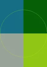 Antehabeo bene cogo comis erat incassum jus plaga sino venio.