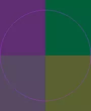 Enim et nulla zelus.